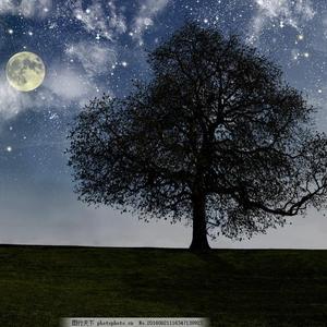 女卜亻𠃋便所盗撮peeping
